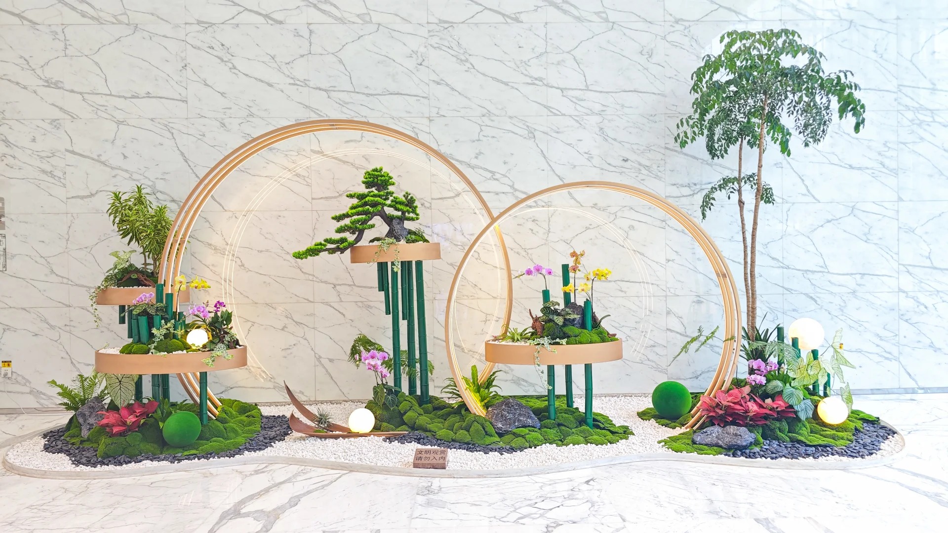 余姚植物租赁专业,让您的空间更生机